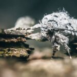 Jak nie dać się okraść i oszukać na fałszywych sklepach online?