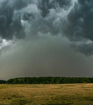 Szeroki krajobraz z rozległym polem pod ciemnymi, burzowymi chmurami typu shelf cloud.