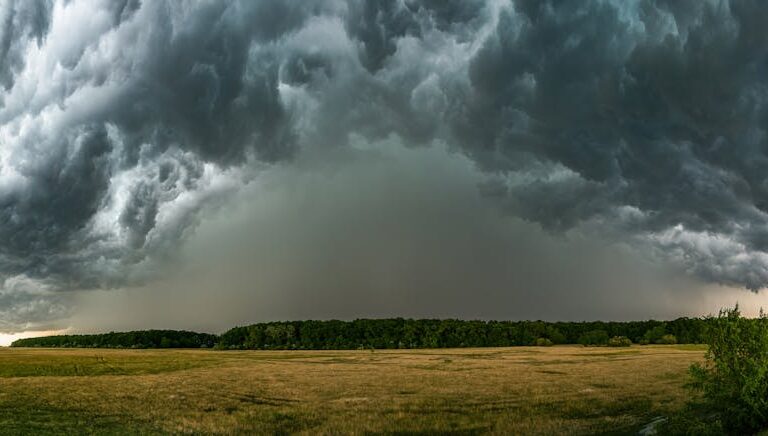 Szeroki krajobraz z rozległym polem pod ciemnymi, burzowymi chmurami typu shelf cloud.