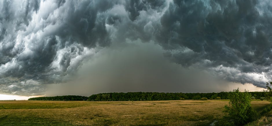 Szeroki krajobraz z rozległym polem pod ciemnymi, burzowymi chmurami typu shelf cloud.