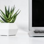 Czy picie herbat ziołowych ma realny wpływ na zdrowie?