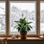 Czego wartościowego możemy nauczyć się od introwertyków?
